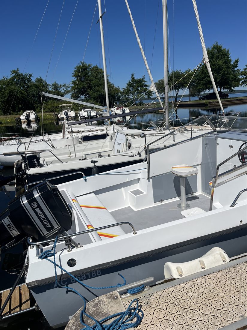 Le cockpit, le siège de barre et le moteur Mercury 75 cv — coque AC 868186