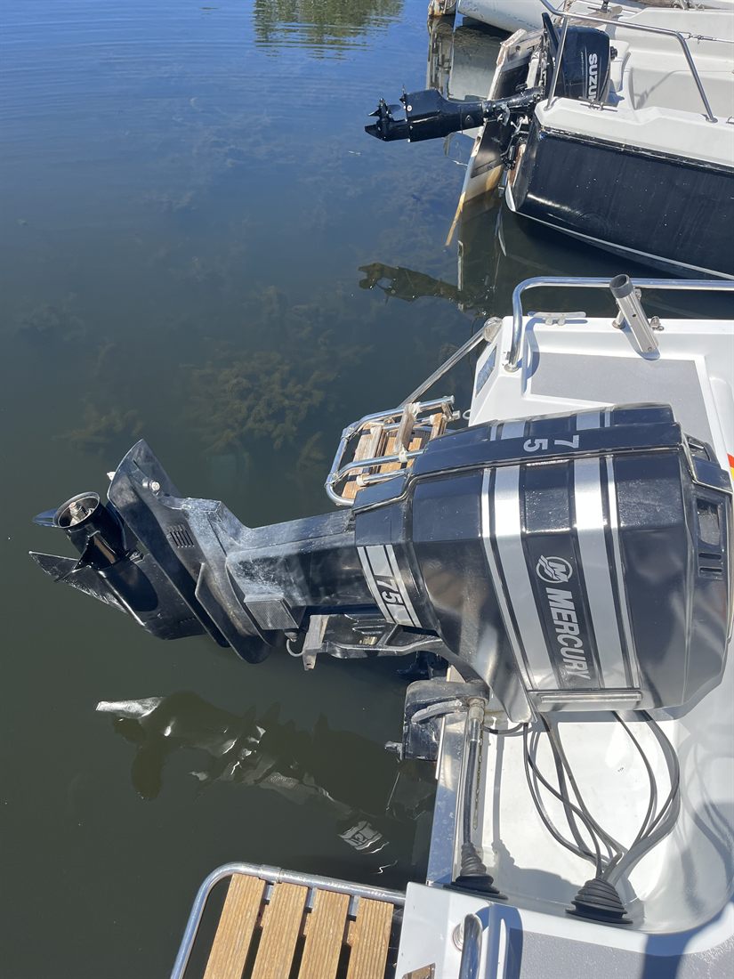Le moteur Mercury 75 cv et l'échelle de bain, vus depuis le ponton